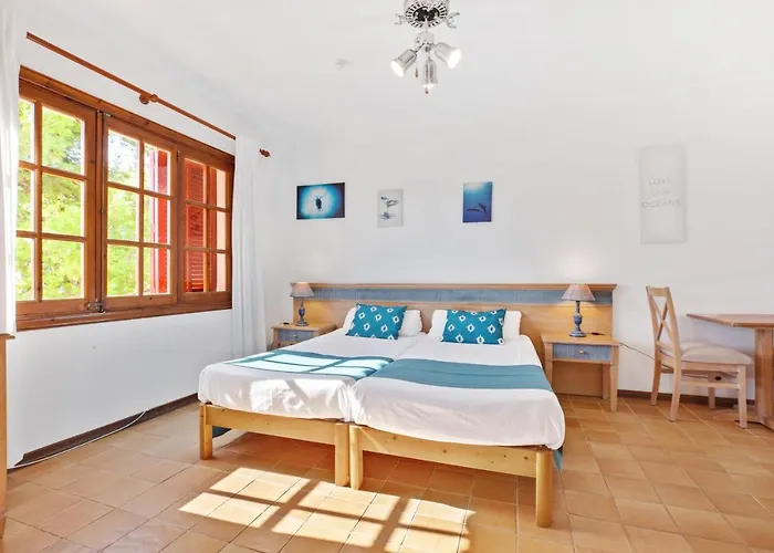 Villa Sa Palmera Cala d'Or 