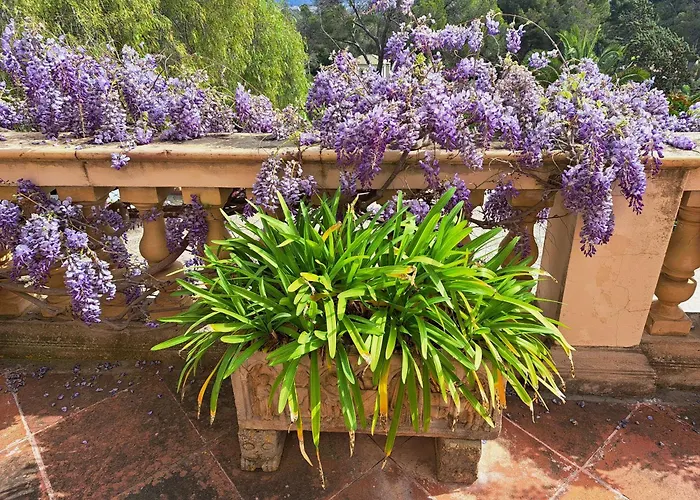Pet frindly Holiday Cottages in Palma de Mallorca