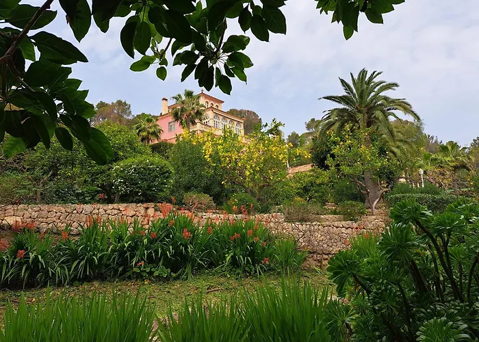 Palma de Mallorca Luxury Villas