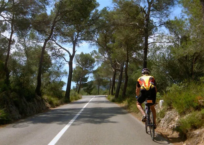Cabin Rentals in Peguera
