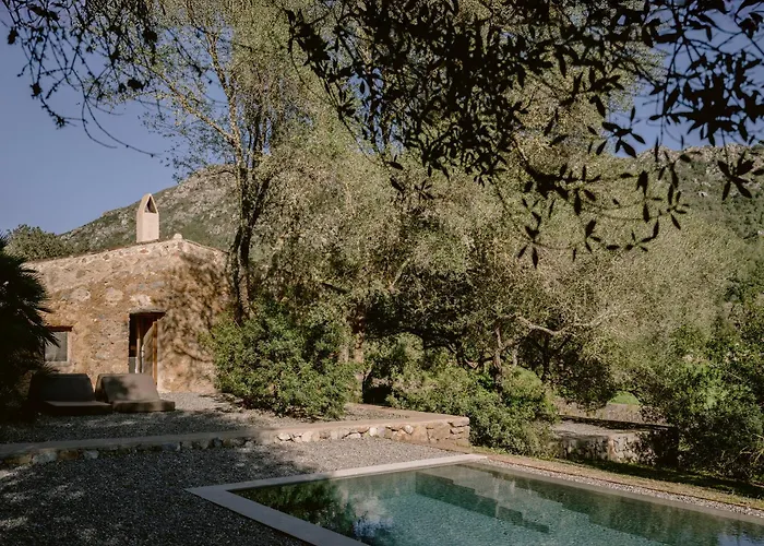 Arta Hotels